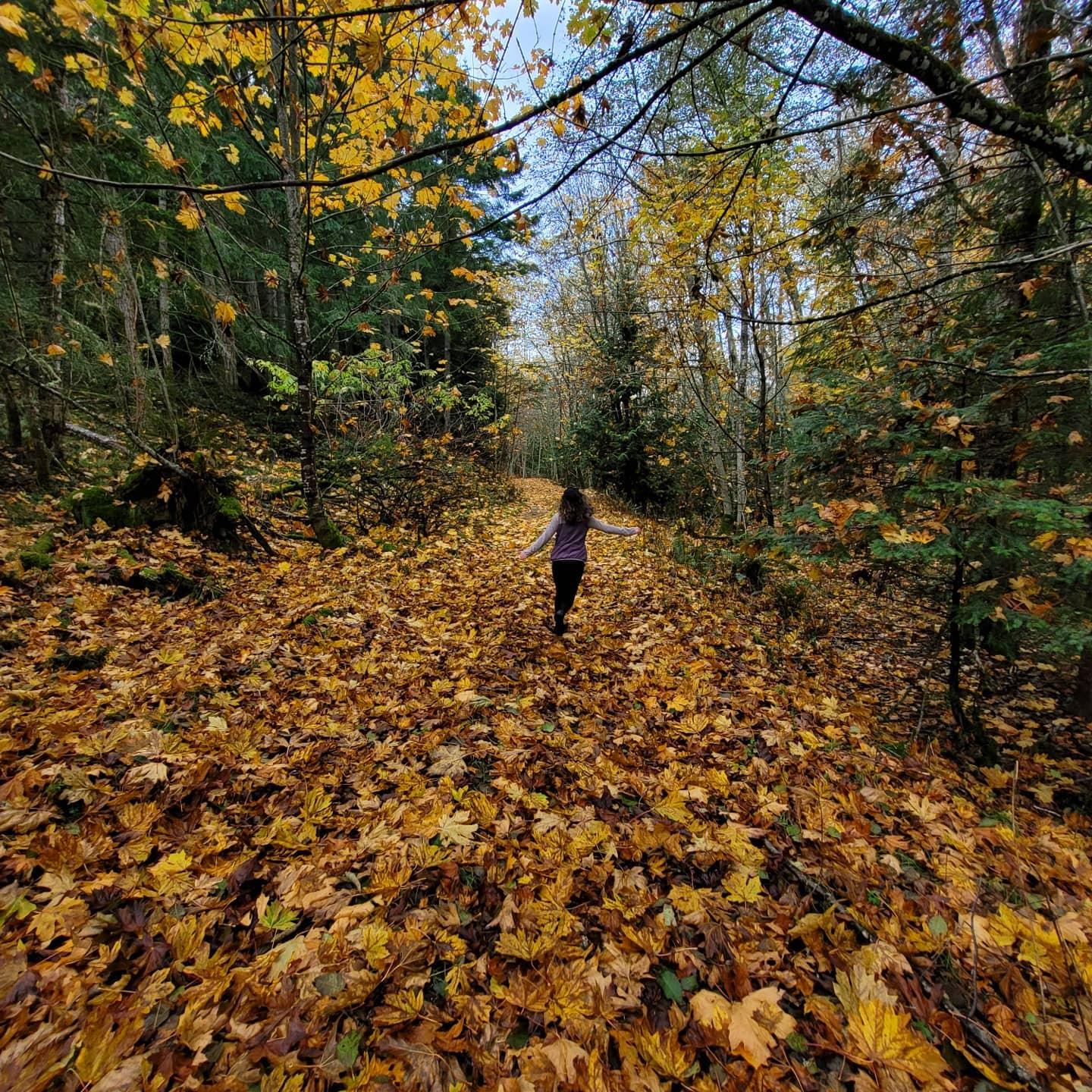 An Autumn Adventure on Galliano Island: A Cave Monkey and Leaf Minger's Tale